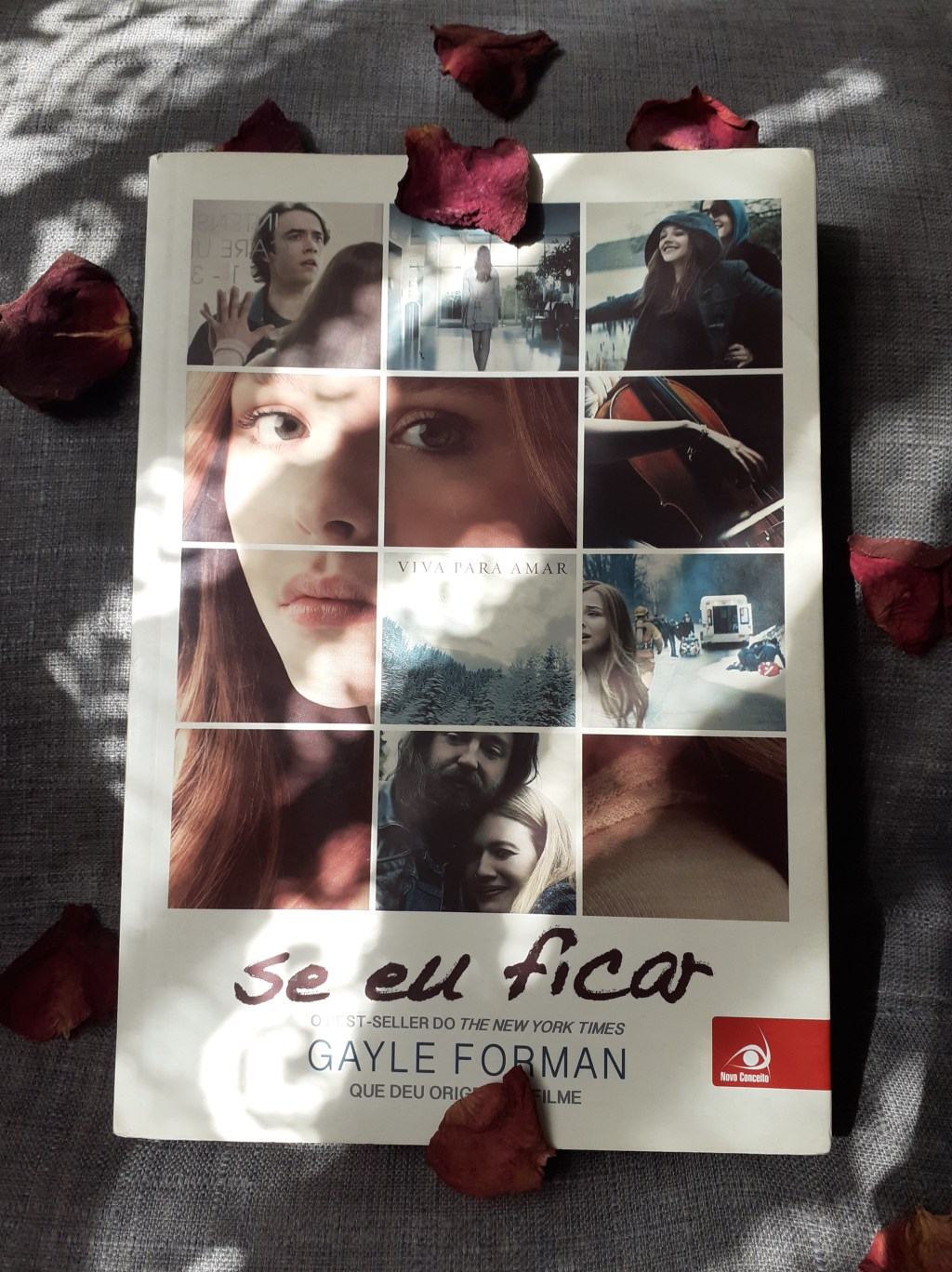 Resenha do livro Se eu&nbsp;ficar